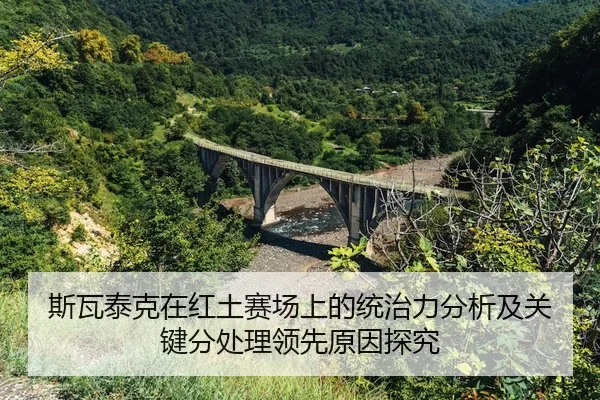 si-wa-tai-ke-zai-hong-tu-sai-chang-shang-de-tong-zhi-li-fen-xi-ji-guan-jian-fen-chu-li-ling-xian-yuan-yin-tan-jiu-2-455.jpg
