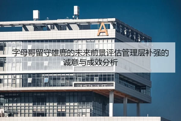 字母哥留守雄鹿的未来前景评估管理层补强的诚意与成效分析