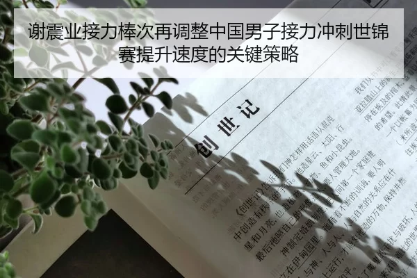 谢震业接力棒次再调整中国男子接力冲刺世锦赛提升速度的关键策略