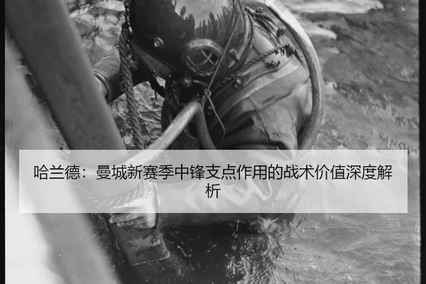 ha-lan-de-man-cheng-xin-sai-ji-zhong-feng-zhi-dian-zuo-yong-de-zhan-shu-jia-zhi-shen-du-jie-xi-3-712.jpg