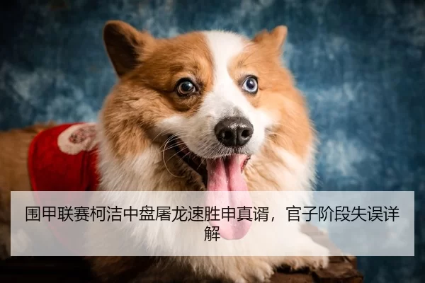 围甲联赛柯洁中盘屠龙速胜申真谞，官子阶段失误详解