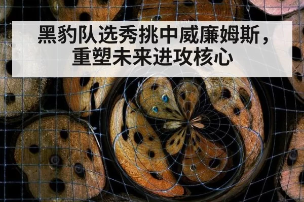 黑豹队选秀挑中威廉姆斯，重塑未来进攻核心