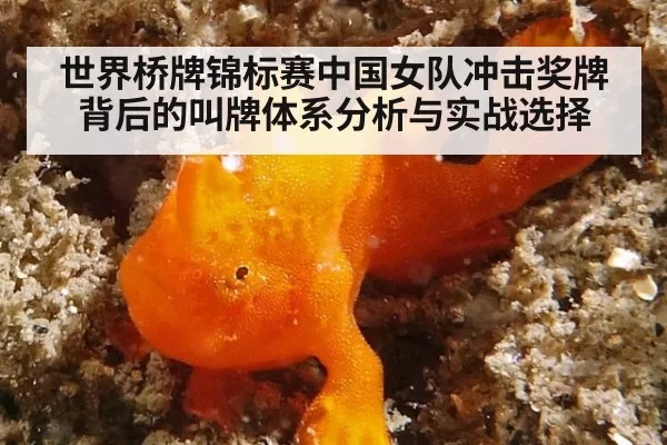 世界桥牌锦标赛中国女队冲击奖牌背后的叫牌体系分析与实战选择